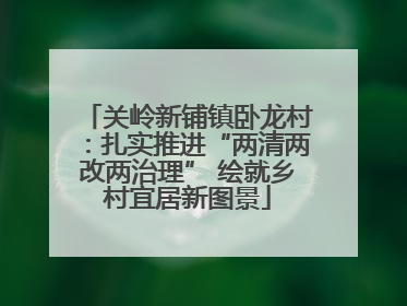 关岭新铺镇卧龙村：扎实推进“两清两改两治理” 绘就乡村宜居新图景