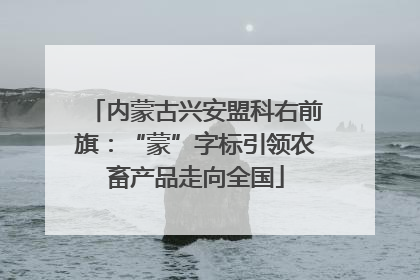 内蒙古兴安盟科右前旗：“蒙”字标引领农畜产品走向全国