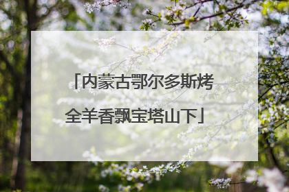 内蒙古鄂尔多斯烤全羊香飘宝塔山下