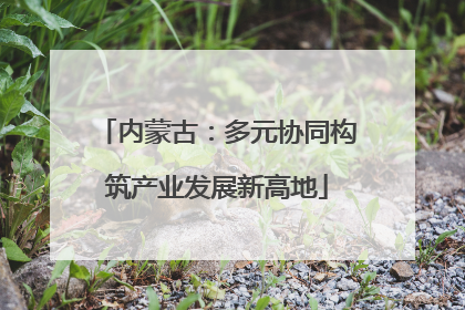 内蒙古：多元协同构筑产业发展新高地