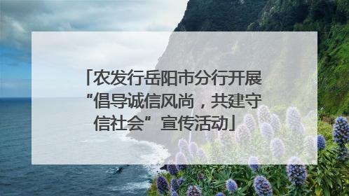 农发行岳阳市分行开展“倡导诚信风尚，共建守信社会”宣传活动