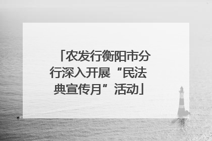 农发行衡阳市分行深入开展“民法典宣传月”活动