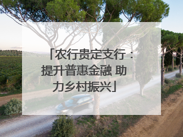 农行贵定支行：提升普惠金融 助力乡村振兴