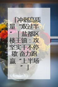冲刺高质量“双过半”｜盐都区楼王镇：攻坚实干不停歇 奋力跑赢“上半场”