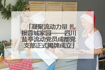 凝聚流动力量 扎根蓉城家园——四川盐亭流动党员成都党支部正式揭牌成立
