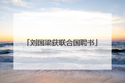 刘国梁获联合国聘书