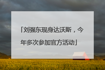 刘强东现身达沃斯，今年多次参加官方活动