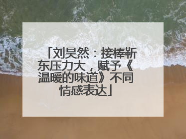 刘昊然：接棒靳东压力大，赋予《温暖的味道》不同情感表达
