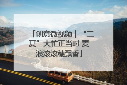 创意微视频｜“三夏”大忙正当时 麦浪滚滚穗飘香