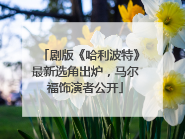 剧版《哈利波特》最新选角出炉，马尔福饰演者公开