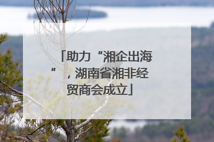 助力“湘企出海”，湖南省湘非经贸商会成立