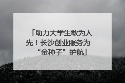 助力大学生敢为人先！长沙创业服务为“金种子”护航
