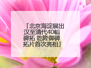 北京海淀展出汉至清代40幅碑拓 乾隆御碑拓片首次亮相