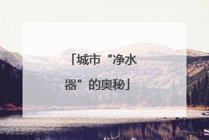 城市“净水器”的奥秘