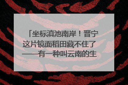 坐标滇池南岸！晋宁这片镜面稻田藏不住了——有一种叫云南的生活之365天