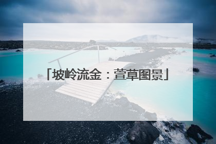 坡岭流金：萱草图景