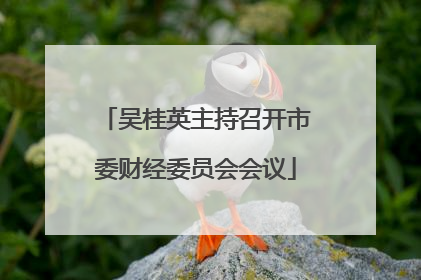 吴桂英主持召开市委财经委员会会议