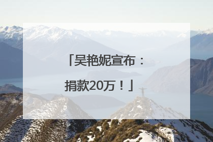 吴艳妮宣布：捐款20万！