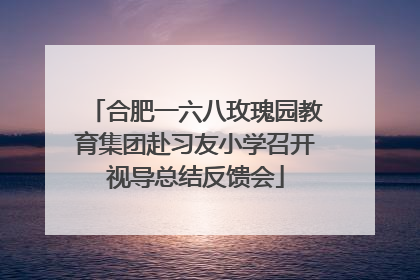合肥一六八玫瑰园教育集团赴习友小学召开视导总结反馈会