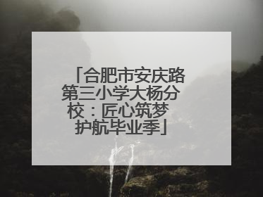 合肥市安庆路第三小学大杨分校：匠心筑梦 护航毕业季