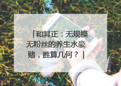 和其正：无规模无粉丝的养生水豪赌，胜算几何？｜品牌观察