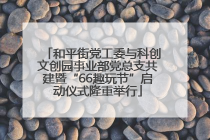 和平街党工委与科创文创园事业部党总支共建暨“66趣玩节”启动仪式隆重举行