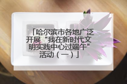 哈尔滨市各地广泛开展“我在新时代文明实践中心过端午”活动（一）