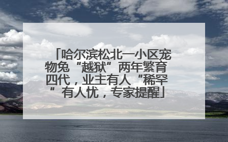 哈尔滨松北一小区宠物兔“越狱”两年繁育四代，业主有人“稀罕”有人忧，专家提醒