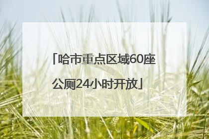 哈市重点区域60座公厕24小时开放