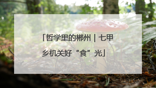 哲学里的郴州｜七甲乡机关好“食”光