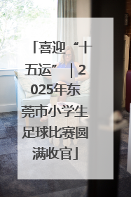 喜迎“十五运”｜2025年东莞市小学生足球比赛圆满收官