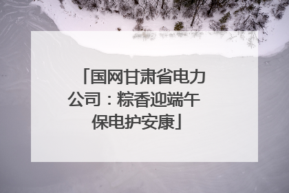 国网甘肃省电力公司：粽香迎端午 保电护安康