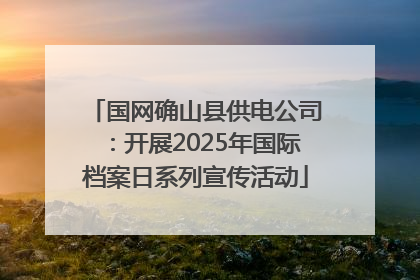 国网确山县供电公司：开展2025年国际档案日系列宣传活动