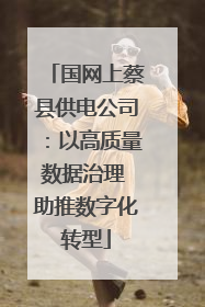 国网上蔡县供电公司：以高质量数据治理 助推数字化转型