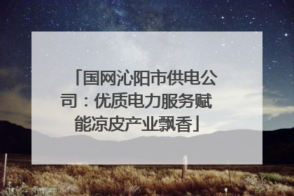 国网沁阳市供电公司：优质电力服务赋能凉皮产业飘香