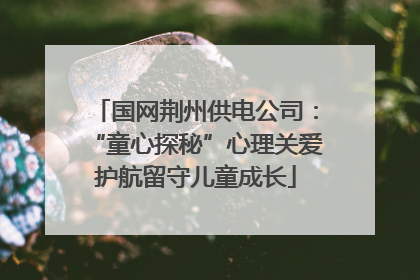 国网荆州供电公司：“童心探秘”心理关爱护航留守儿童成长