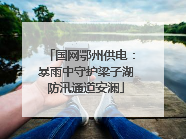 国网鄂州供电：暴雨中守护梁子湖防汛通道安澜