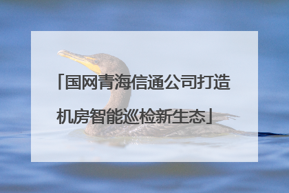 国网青海信通公司打造机房智能巡检新生态