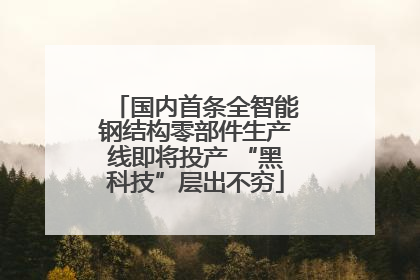 国内首条全智能钢结构零部件生产线即将投产 “黑科技”层出不穷