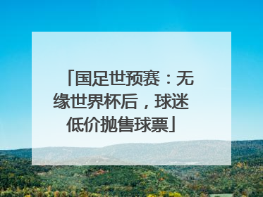 国足世预赛：无缘世界杯后，球迷低价抛售球票
