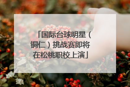 国际台球明星（铜仁）挑战赛即将在松桃职校上演