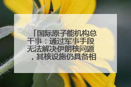 国际原子能机构总干事：通过军事手段无法解决伊朗核问题，其核设施仍具备相关产能，只需要数月就能生产出浓缩铀