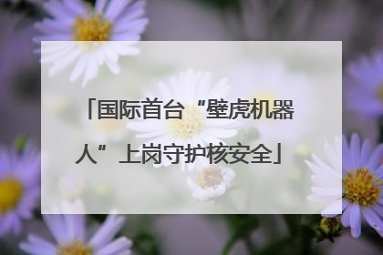 国际首台“壁虎机器人”上岗守护核安全