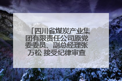 四川省煤炭产业集团有限责任公司原党委委员、副总经理张万松 接受纪律审查和监察调查
