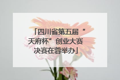 四川省第五届“天府杯”创业大赛决赛在蓉举办