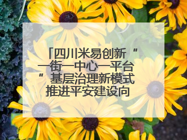 四川米易创新“一街一中心一平台”基层治理新模式 推进平安建设向更高水平迈进