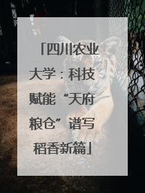 四川农业大学：科技赋能“天府粮仓”谱写稻香新篇