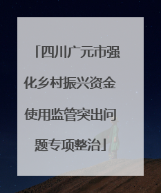 四川广元市强化乡村振兴资金使用监管突出问题专项整治