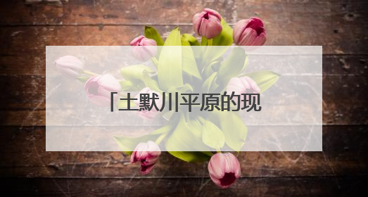 土默川平原的现代农业新图景