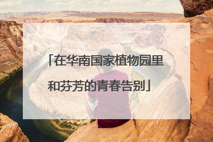 在华南国家植物园里和芬芳的青春告别